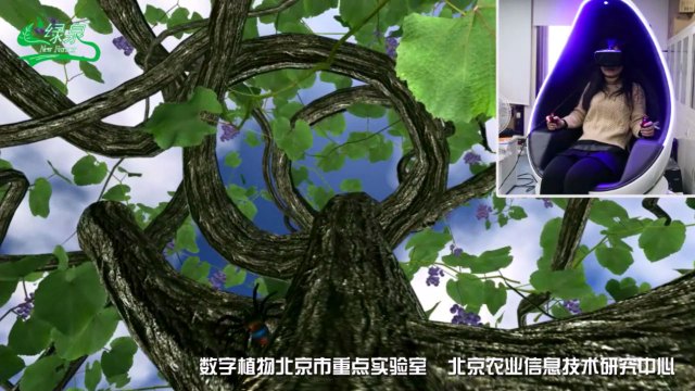 4D蛋椅互动体验系统