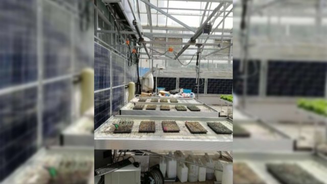 潮汐式育苗灌溉设备